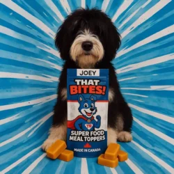 Product shot of That Bites super food dog meal toppers made fresh in Calgary, AB with natural ingredients and whole foods for dogs of all sizes. Big sized dog bag with american bully