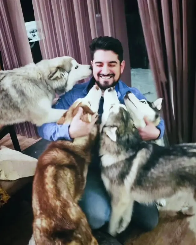 happy husky dogs with Alex smiling for that bites natural superfood dog food topper, delivered fresh in Calgary, AB