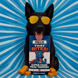 Product shot of That Bites super food dog meal toppers made fresh in Calgary, AB with natural ingredients and whole foods for dogs of all sizes. Big sized dog bag with Millie The shepard