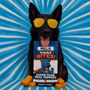 Product shot of That Bites super food dog meal toppers made fresh in Calgary, AB with natural ingredients and whole foods for dogs of all sizes. Big sized dog bag with Millie The shepard