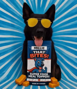 Product shot of That Bites super food dog meal toppers made fresh in Calgary, AB with natural ingredients and whole foods for dogs of all sizes. Big sized dog bag with Millie The shepard
