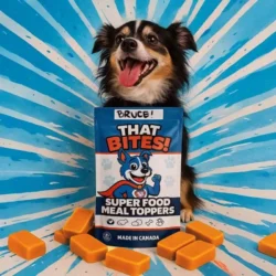 Product shot of That Bites super food dog meal toppers made fresh in Calgary, AB with natural ingredients and whole foods for dogs of all sizes. Medium sized dog bag with Staffordshire bull terrier