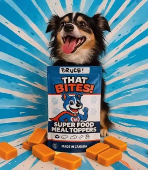 Product shot of That Bites super food dog meal toppers made fresh in Calgary, AB with natural ingredients and whole foods for dogs of all sizes. Medium sized dog bag with Staffordshire bull terrier
