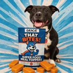 Product shot of That Bites super food dog meal toppers made fresh in Calgary, AB with natural ingredients and whole foods for dogs of all sizes. Medium sized dog bag with Staffordshire bull terrier