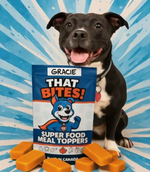 Product shot of That Bites super food dog meal toppers made fresh in Calgary, AB with natural ingredients and whole foods for dogs of all sizes. Medium sized dog bag with Staffordshire bull terrier