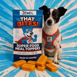 Product shot of That Bites super food dog meal toppers made fresh in Calgary, AB with natural ingredients and whole foods for dogs of all sizes. small sized dog bag for picky eaters
