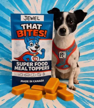Product shot of That Bites super food dog meal toppers made fresh in Calgary, AB with natural ingredients and whole foods for dogs of all sizes. small sized dog bag for picky eaters