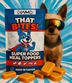 Product shot of That Bites super food dog meal toppers made fresh in Calgary, AB with natural ingredients and whole foods for dogs of all sizes. small sized dog bag for picky eaters